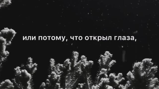 Чаще всего происходит так, но Есмь Выход.mp4