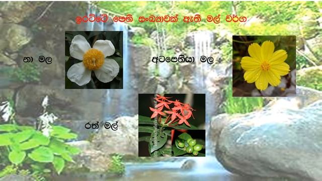palati ha gaswal - part -1