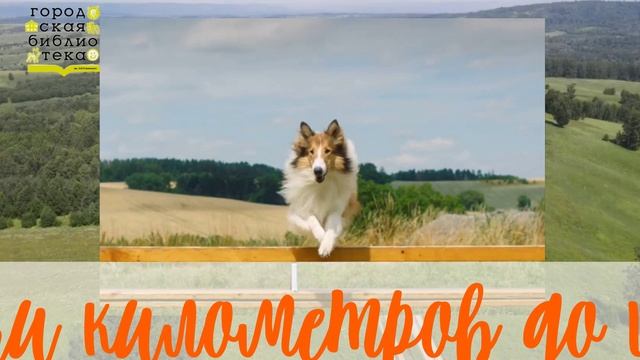Эрик Найт «Лесси»
