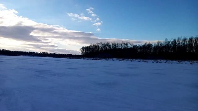 Новогодние каникулы рядом с моими подопечными!