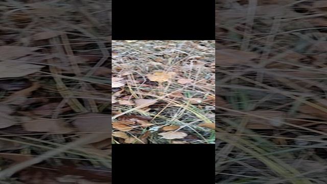 1000478998.mp4