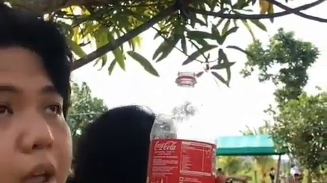 coca-cola version(ratatouille)🤣