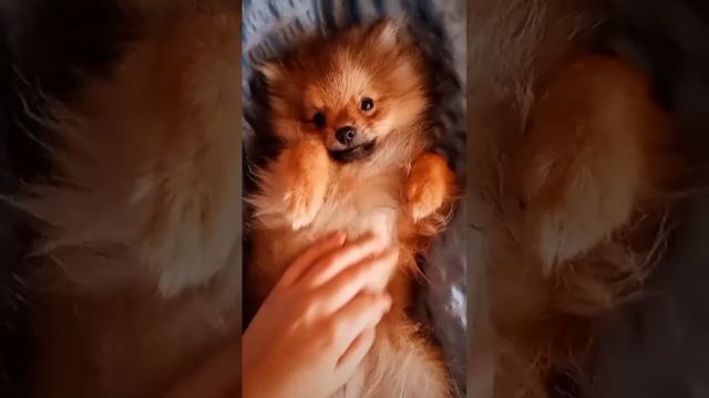 Милашка