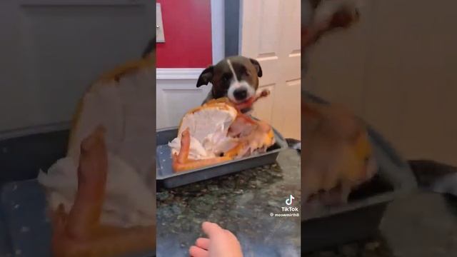 1000071258.mp4