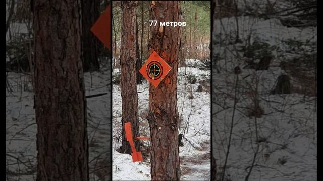 корсар псп отстрел по мишеням