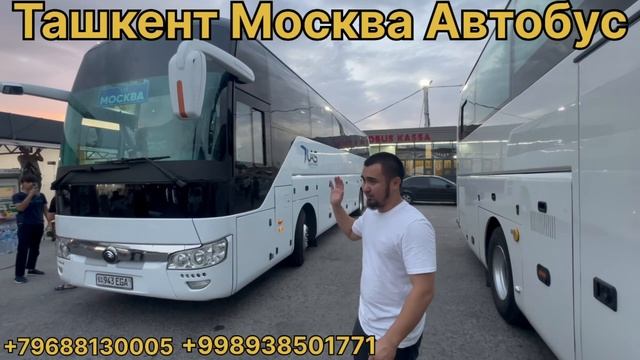 Ташкент Рассия Автобус