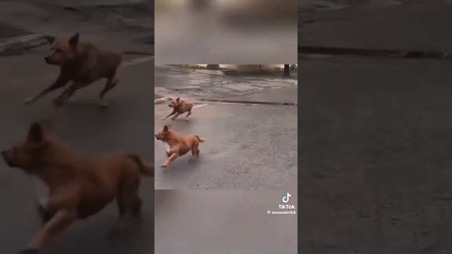 1000071259.mp4