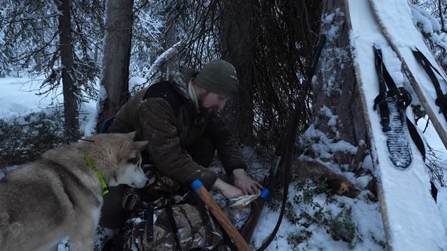 ЖИЗНЬ В ТАЙГЕ. ИЩУ НОВОГОДНЕГО ЛОСЯ. ЕМ СУП ИЗ ГЛУХАРЯ 20241230,