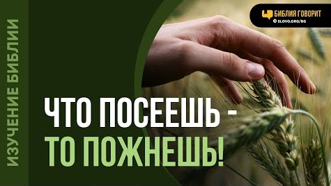 Алексей Коломийцев - Что значит: «...что посеет человек, то и пожнет»? | "Библия говорит