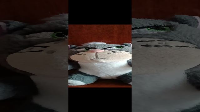 Мурзик поздравляет