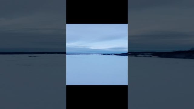 несу холст домой