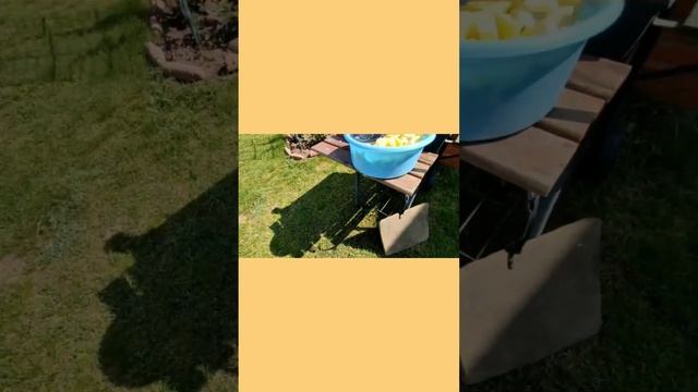 Аджика из кабачков в казане. Часть 1 #shorts #заготовкиназиму #аджикарецепт #аджика