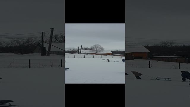 20250111_142551_1.mp4