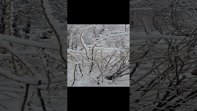 1000015309.mp4