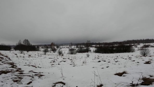 Охота на зайца. Зайца нашли и весь день проходили за ним.
