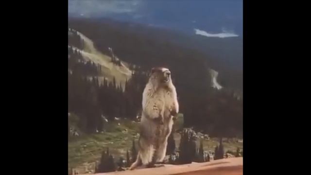 Михаил и Юлия