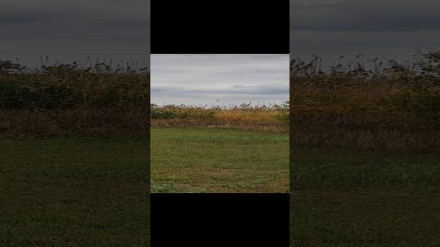 1000467122.mp4