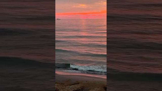 1000051420.mp4