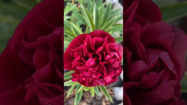 Опять начинаем стройку с нуля #дом #дача #стройка #ремонт #строительство