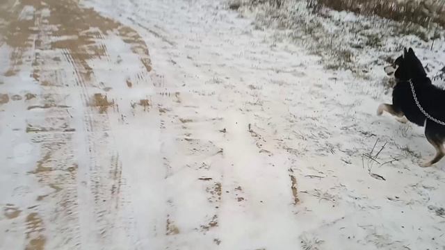 поездка в Дзержинск