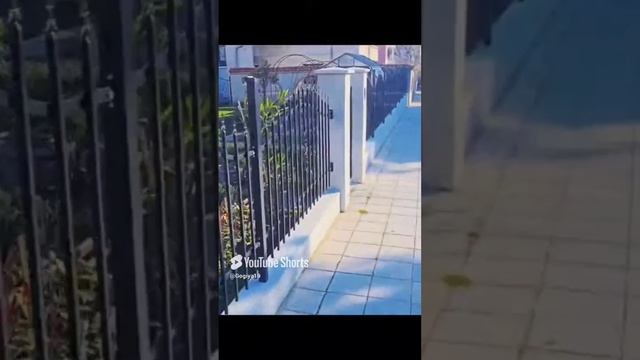 ТРЕТИЙ ГОД НА ПЕНСИИ.
