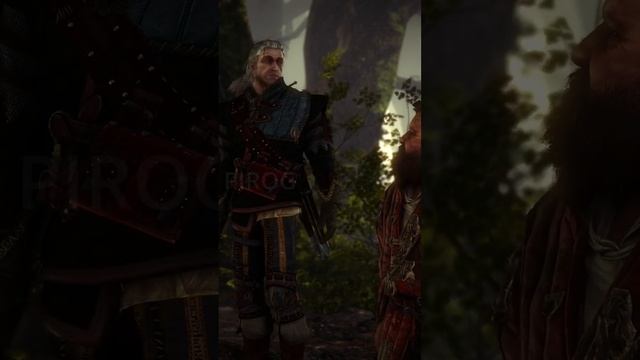 Я тебе что  Ведьмак 2 shorts witcher ведьмак мемы игры рекомендации