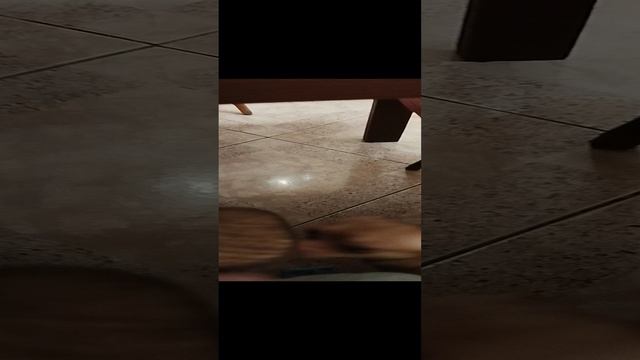 1000039191.mp4