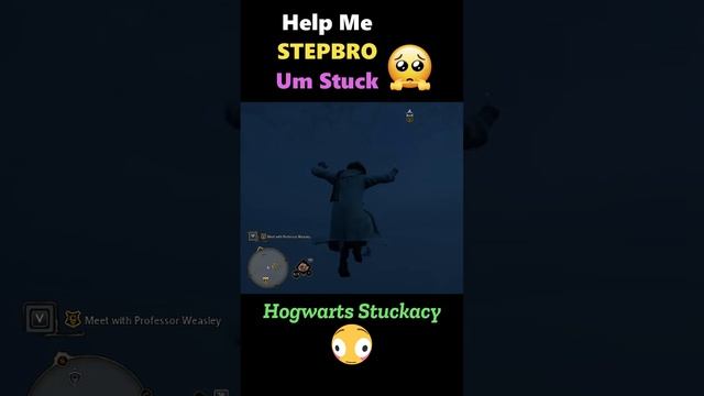 WHEN U BUY HOGWARTS LEGACY FROM WISH.COM 😂 #hogwartslegacy #shorts