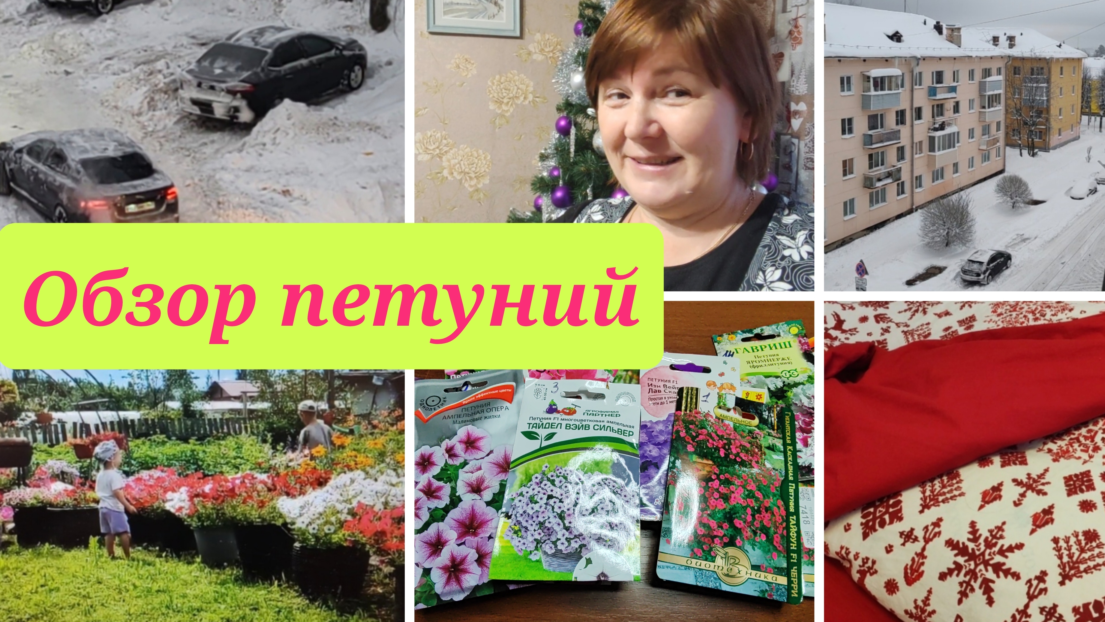 Снежно утро. Про семена. Постирала покрывала. Семена петуний.