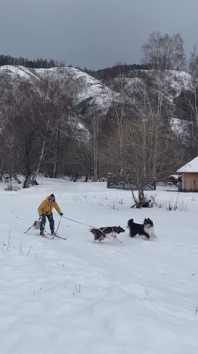 Новогодние праздники подошли к концу🎄. Желаем всем легкого трудового января )😊