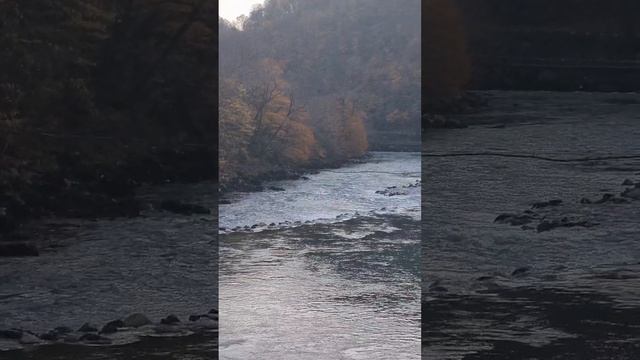 1000069120.mp4