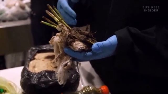 Amerika Səyahəti || Nyu York JFK Aeroportu || Gömrük || Dolma yarpağı və alça || CBP New York || AB