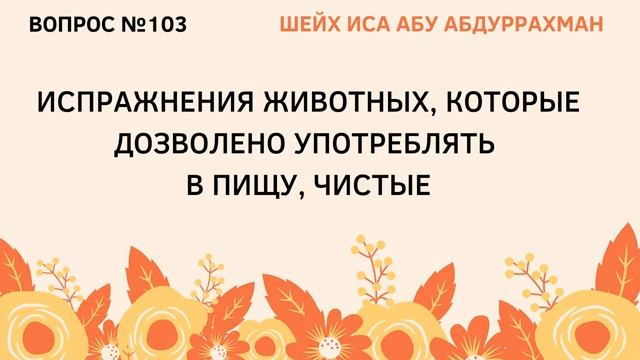 103. Испражнения животных чистые  Иса Абу Абдуррахман