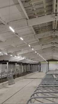 Светодиодное освещение коровника и доильного зала в Иркутской области