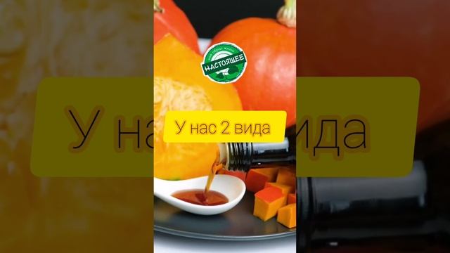 Выжимаем тыквенное масло .mp4