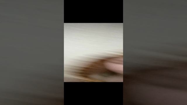это моя собачка Бусяяя❤