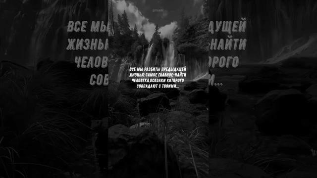 #731 Цитата дня. Мотивация.