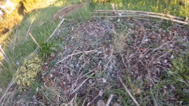 Permaculture: le paganisme au jardin !