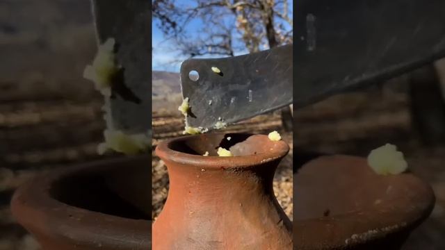 Друзья, обед, ужин. Всем приятного аппетита