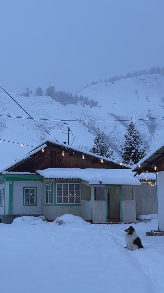 По возвращении домой, мы попали в зимнюю сказку✨❄️.