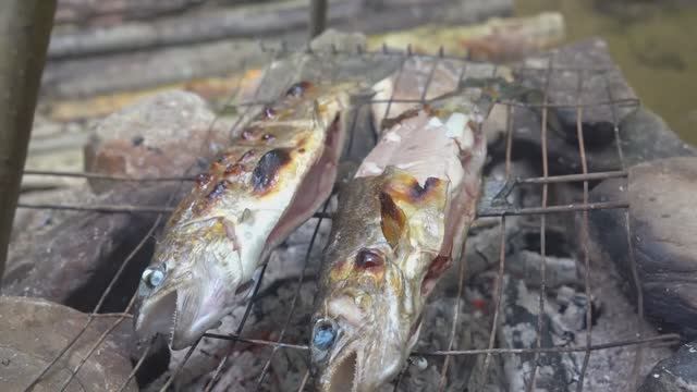 SOLO 3 DAYS  Catch and Cook,Рыбалка. Гамак.