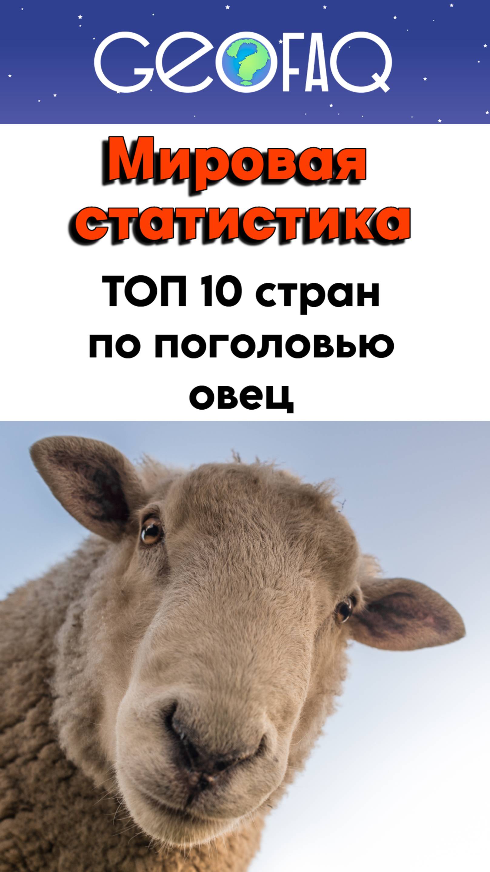 ТОП 10 стран по поголовью овец