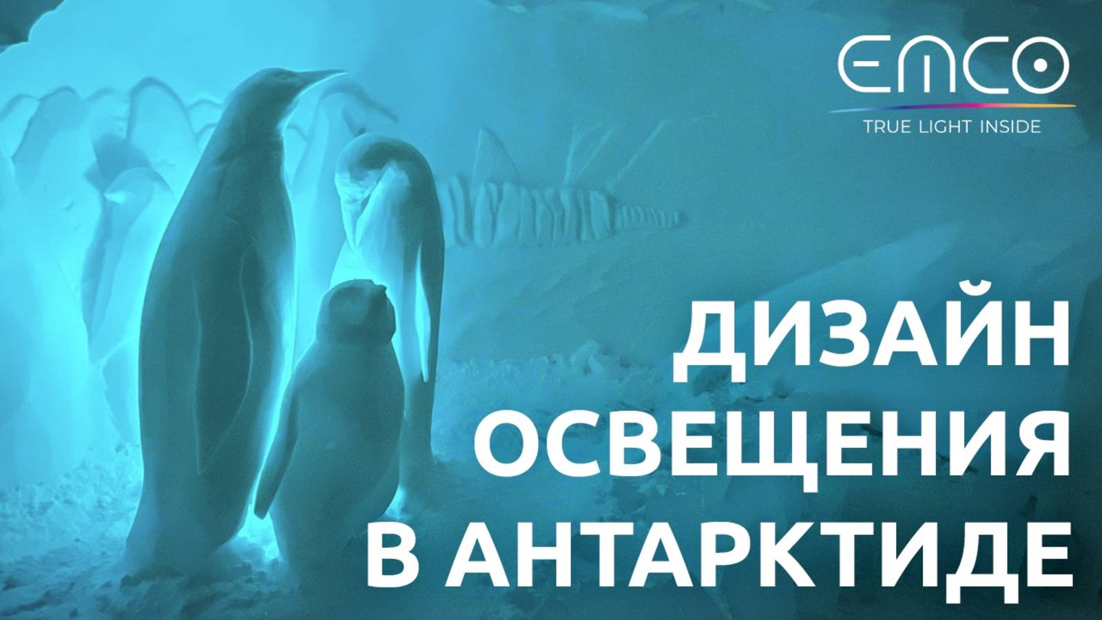 Освещение льда: уникальное в своем роде иглу в Антарктиде