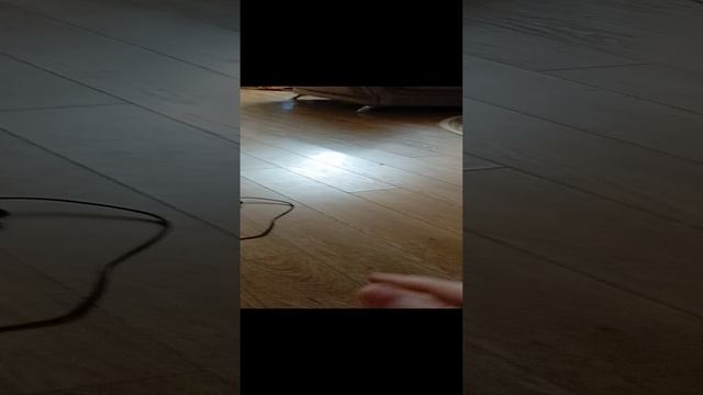 О ЧЕМ ЖЕ МОИ ВИДЕО?