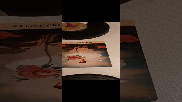 20250112_221507.mp4  Мой берег, твои возможности