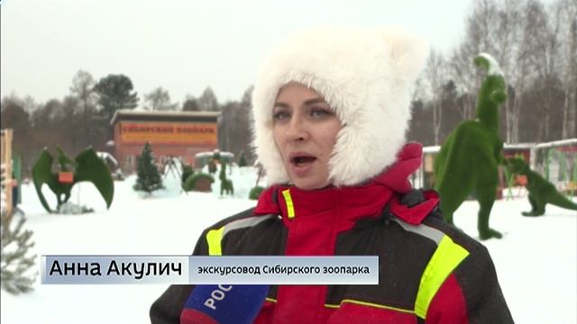 Экскурсии с рассказами о жизни динозавров проводят в Сибирском зоопарке