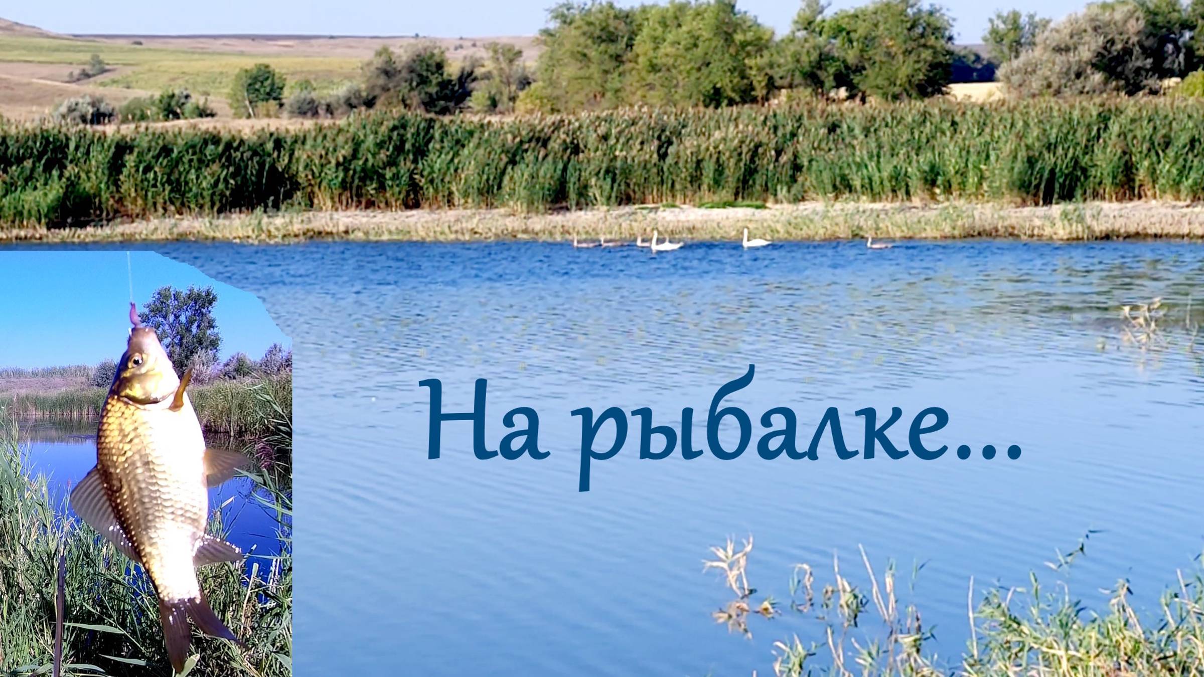 На рыбалке в старице, за карасями...