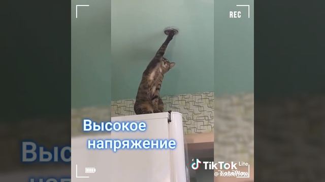 20 РАЗ ПЕРЕСМОТРЕЛ🤣🤣🤣