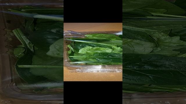 ПЕРВЫЙ РАЗ ШПИНАТ КУПИЛ / ВИТАМИНОВ НА ЗИМУ / ПОЛЕЗНОЕ ДЛЯ ЗДОРОВЬЯ / ЗЕЛЁНЫЕ ОВОЩИ ЛИСТОВЫЕ