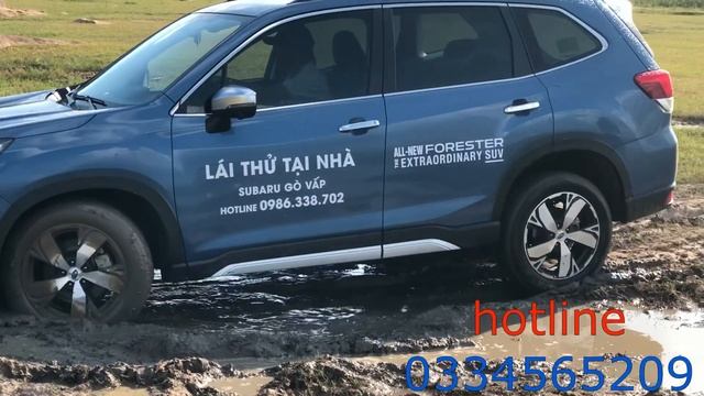 VI VU HỒ DẦU TIẾNG CÙNG XE SIÊU CHẤT SUBARU FORESTER